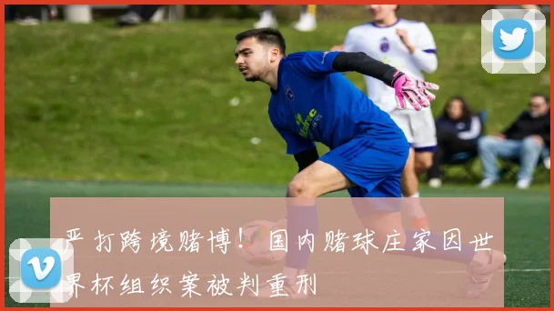 严打跨境赌博！国内赌球庄家因世界杯组织案被判重刑