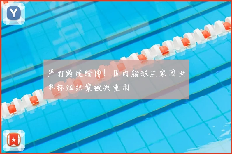 严打跨境赌博！国内赌球庄家因世界杯组织案被判重刑