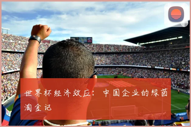 世界杯经济效应：中国企业的绿茵淘金记