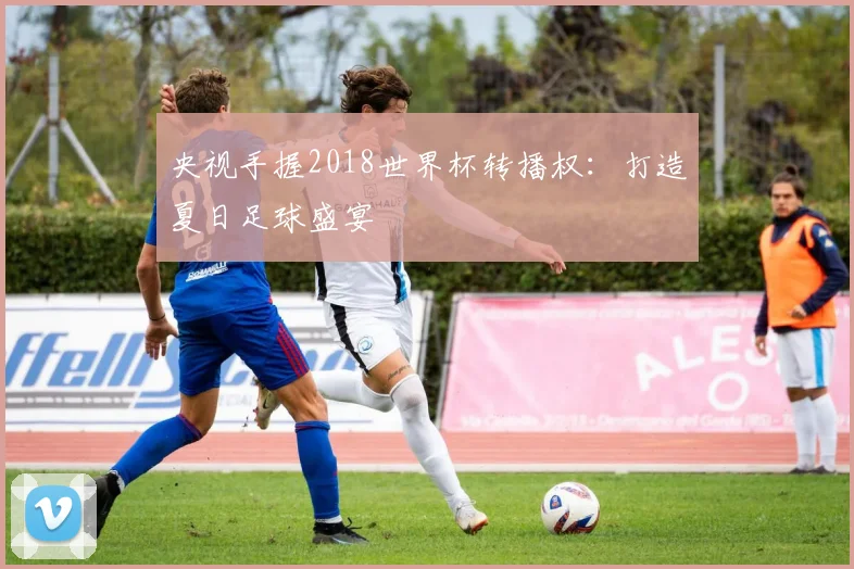 央视手握2018世界杯转播权：打造夏日足球盛宴