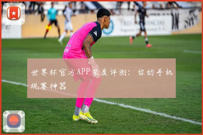 世界杯官方APP深度评测：你的手机观赛神器