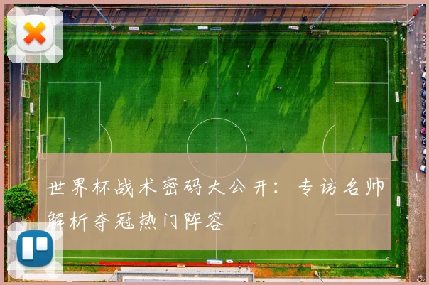 世界杯战术密码大公开：专访名帅解析夺冠热门阵容