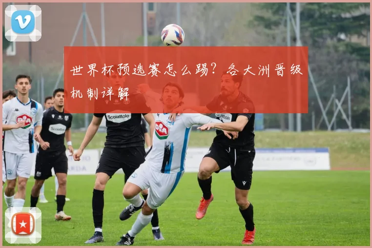 世界杯预选赛怎么踢?各大洲晋级机制详解