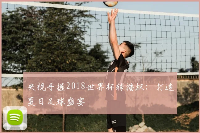 央视手握2018世界杯转播权：打造夏日足球盛宴