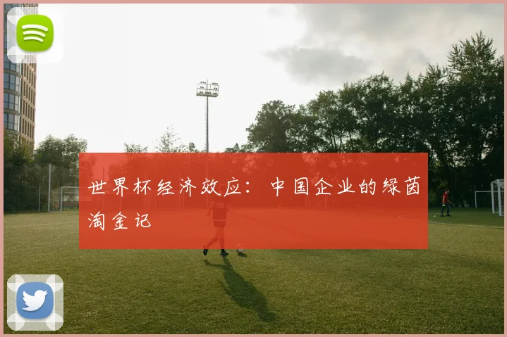 世界杯经济效应：中国企业的绿茵淘金记